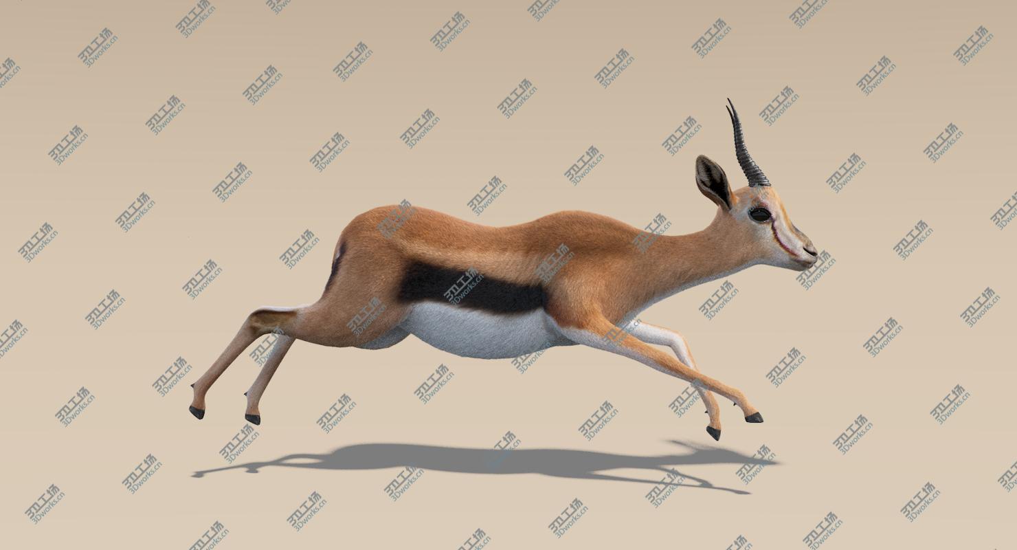 images/goods_img/202105071/3D Gazelle (Fur) Animated model/1.jpg